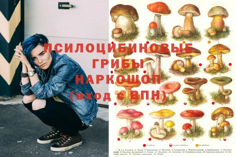 Галлюциногенные грибы MAGIC MUSHROOMS  купить   Остров 